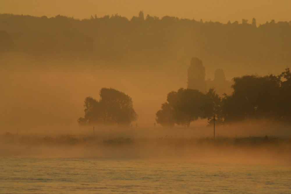 Elbe und Morgennebel