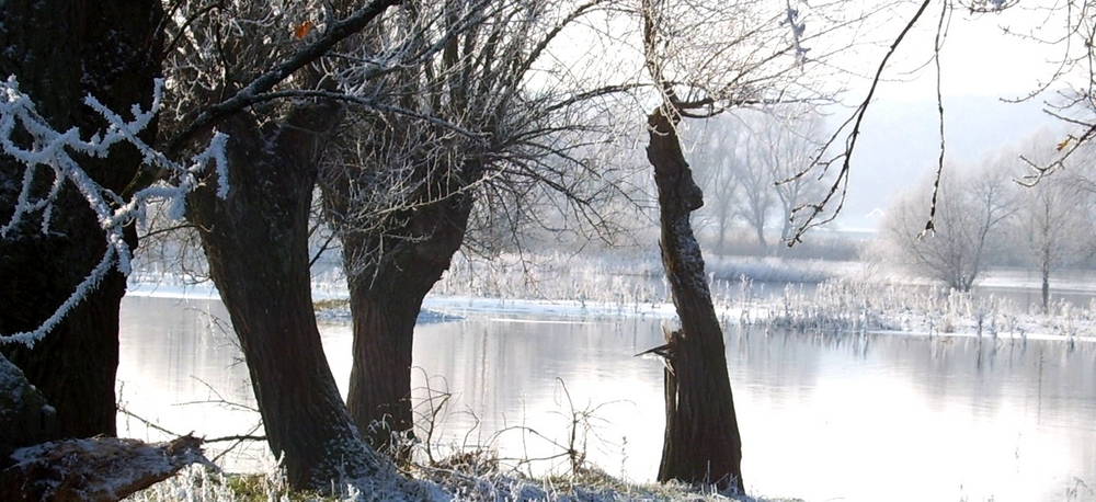 *Elbe und Schnee*