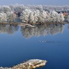 Elbe vom Aussichtsturm bei Grippel 12.2016