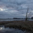 Elbe Winter