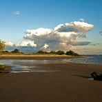 Elbeabendstrandspaziergang