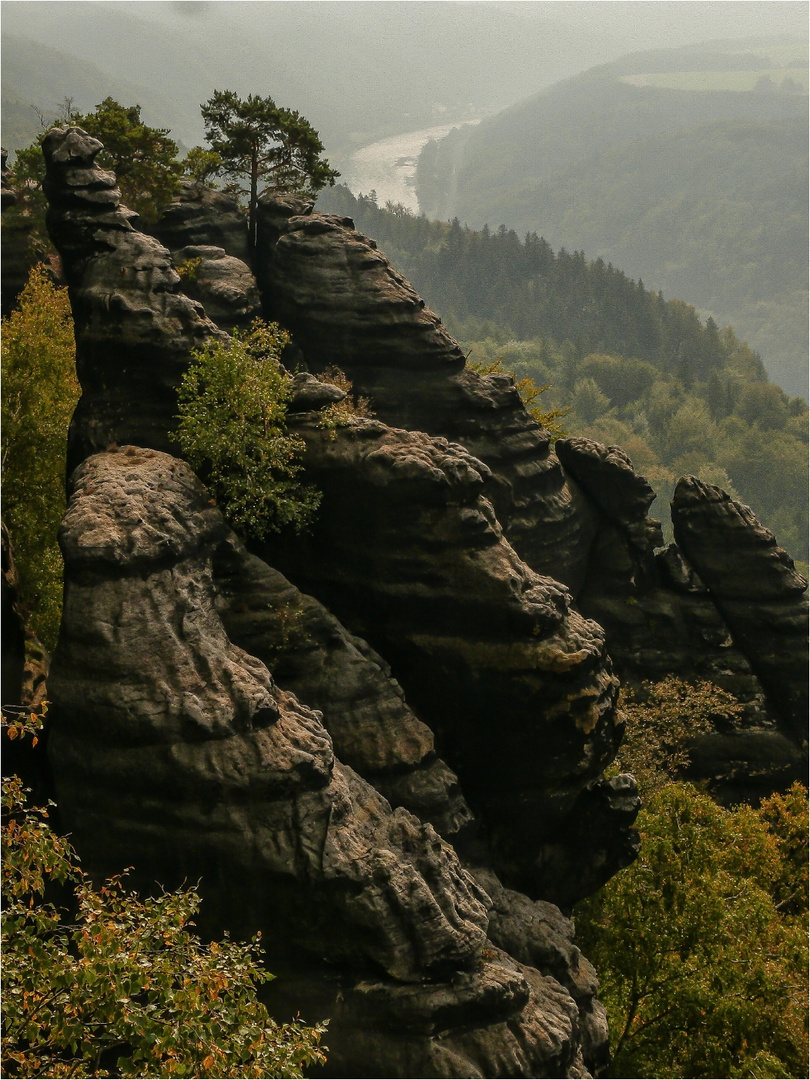 Elbeblick