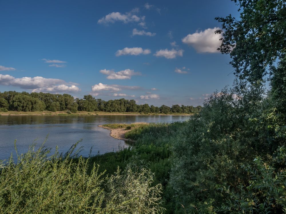 Elbeblick am Schloss Storkau bei Tangermünde