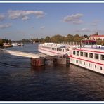 Elbeblick in Magdeburg