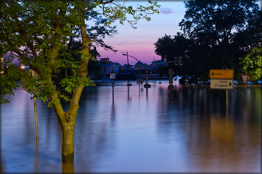 Elbeflut Terassenufer Dresden