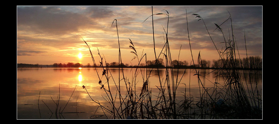 Elbe...früh...saukalt!