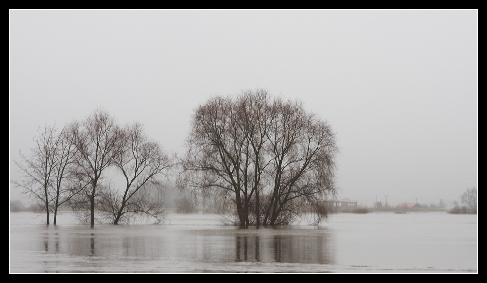 Elbehochwasser 2011 -3-