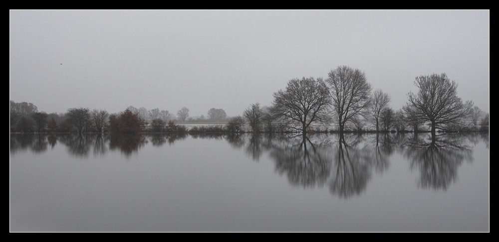 Elbehochwasser 2011 -4-