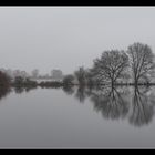 Elbehochwasser 2011 -4-