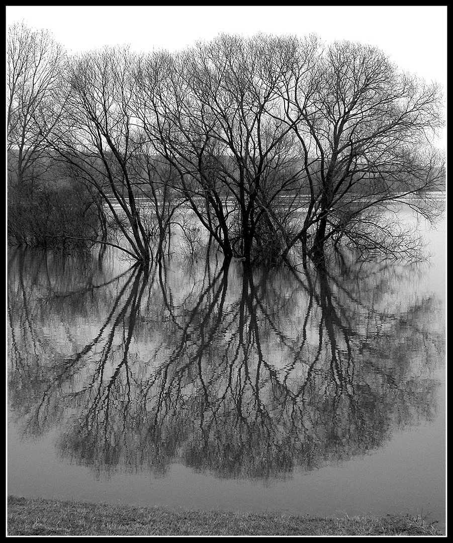 Elbehochwasser