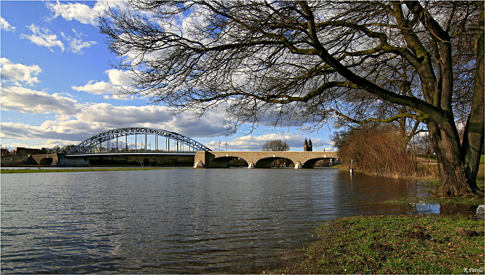 Elbehochwasser an der Sternbrücke in Magdeburg