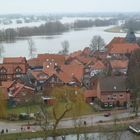 Elbehochwasser bei Hitzacker