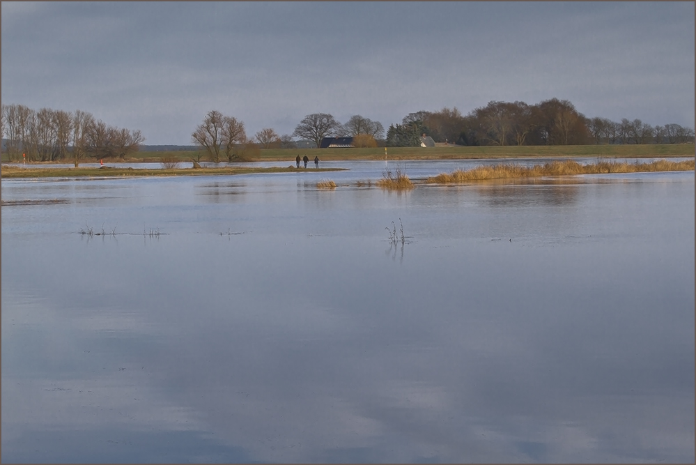 Elbehochwasser