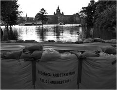 Elbehochwasser Dresden 2013 1