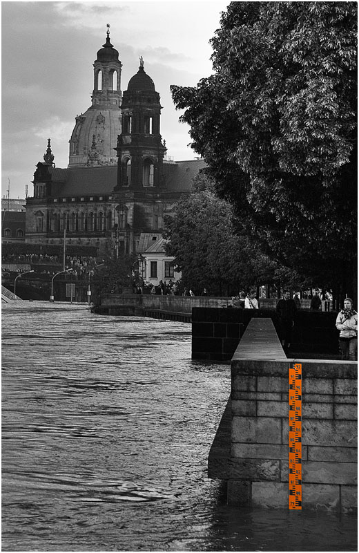 Elbehochwasser Dresden 2013 13