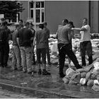 Elbehochwasser Dresden 2013 9