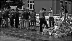 Elbehochwasser Dresden 2013 9