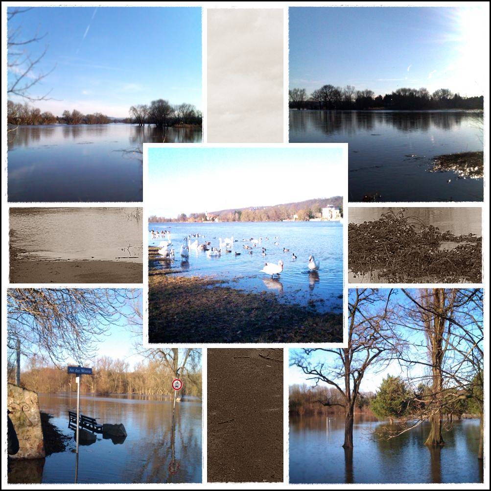 Elbehochwasser Dresden