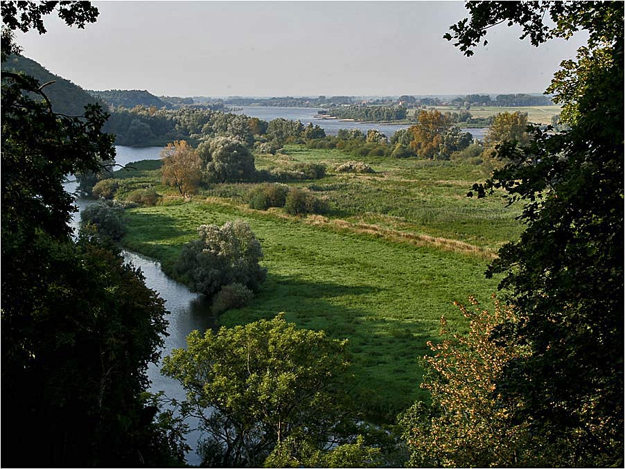 Elbeniederung bei Hitzacker