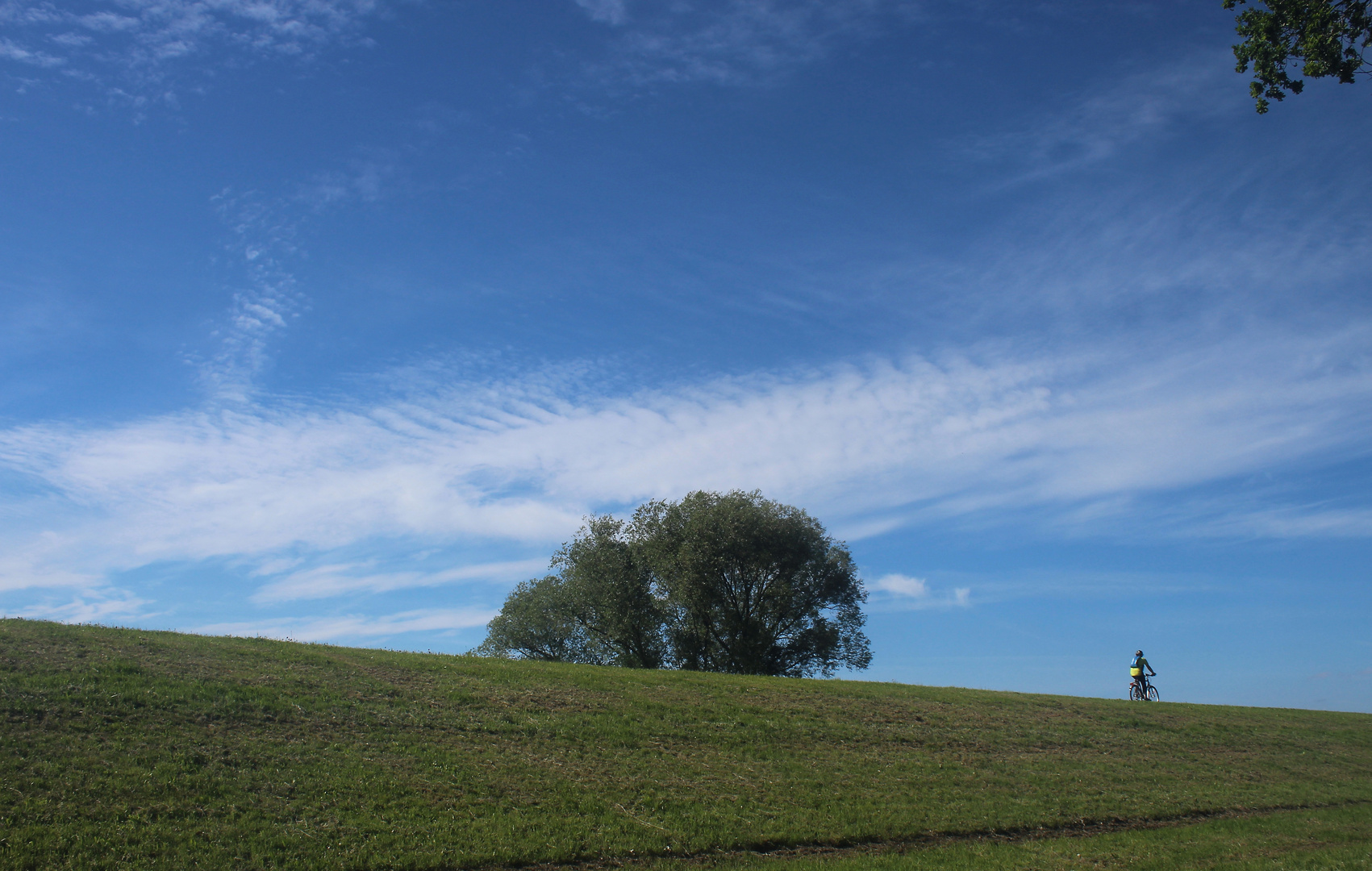 Elberadwanderweg