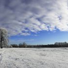 Elbeufer im Winter