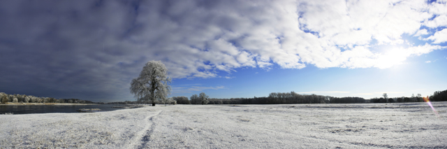 Elbeufer im Winter