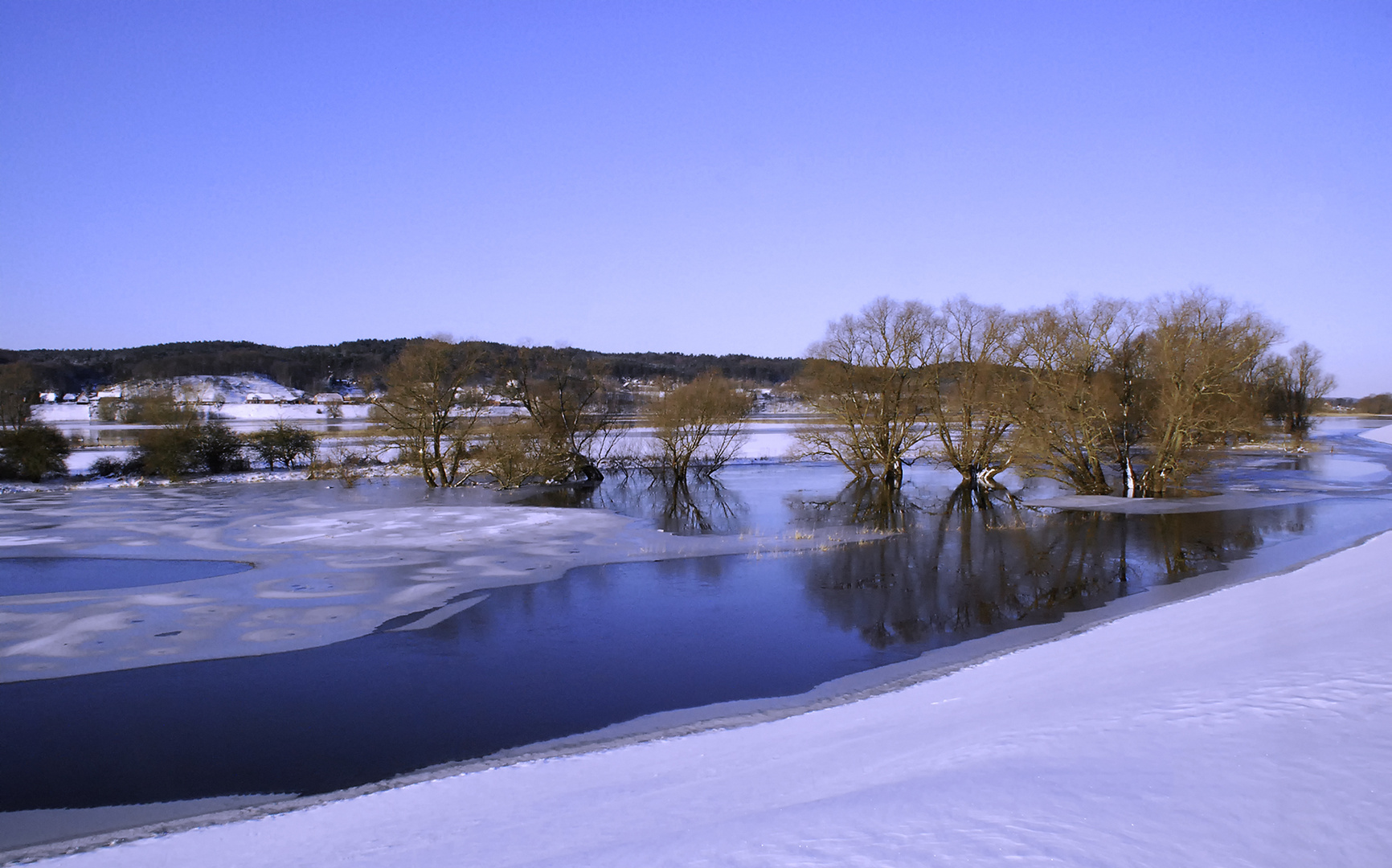 Elbevorland im Winter