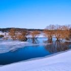 Elbevorland im Winter