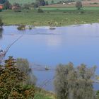 Elbfähre Hitzacker (Elbe) - Bitter (Herrenhof)