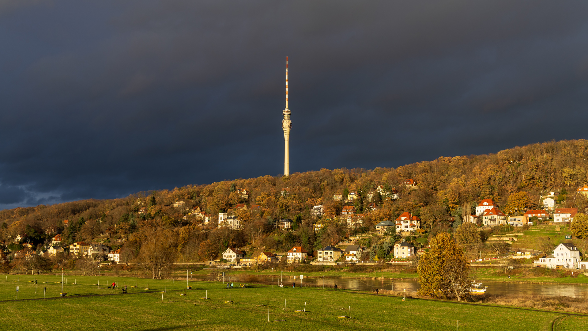 Elbhang mit Dresdner Fernsehturm