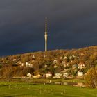 Elbhang mit Dresdner Fernsehturm