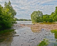 Elbhochwasser in Magdeburg 04.06.2013