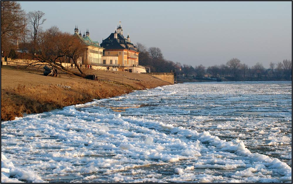 Elblandschaft bei Dresden Pillnitz