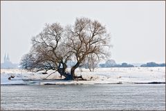 Elblandschaft im Winter