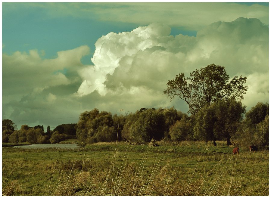 elbmarsch im frühherbst