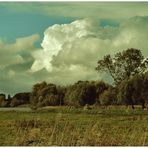 elbmarsch im frühherbst