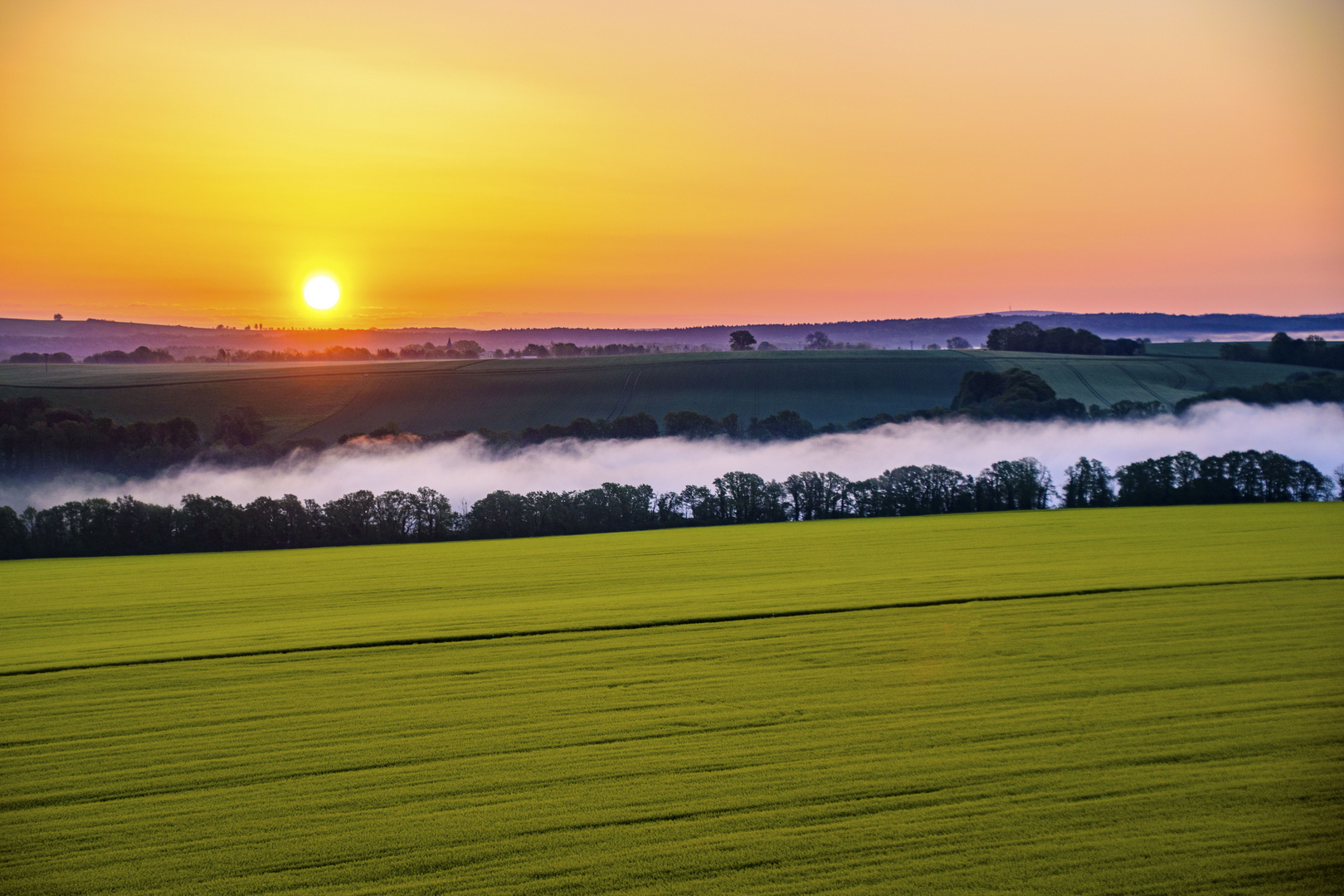 Elbnebel