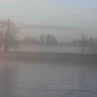 Elbnebel 5