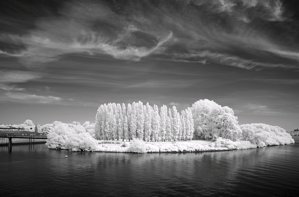 Elbpark Entenwerder