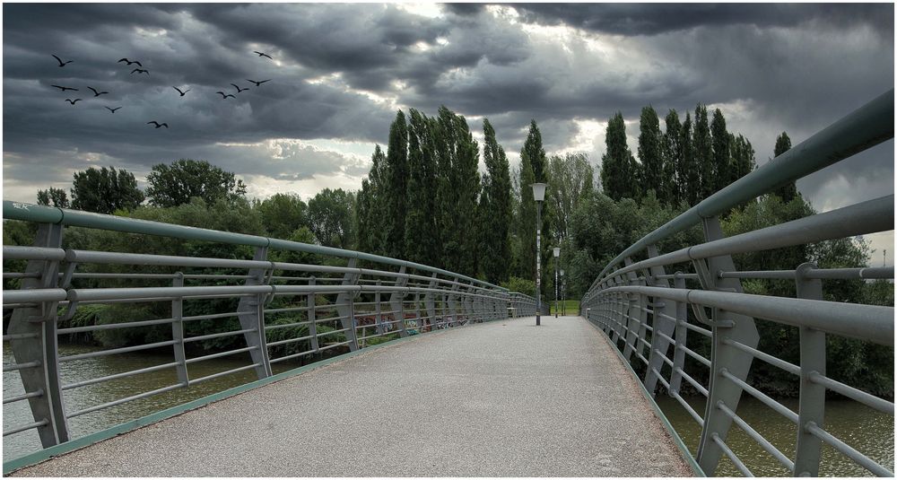 Elbpark Entenwerder