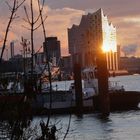 Elbphilharmonie 1