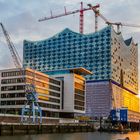 Elbphilharmonie 2