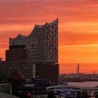 Elbphilharmonie am Morgen