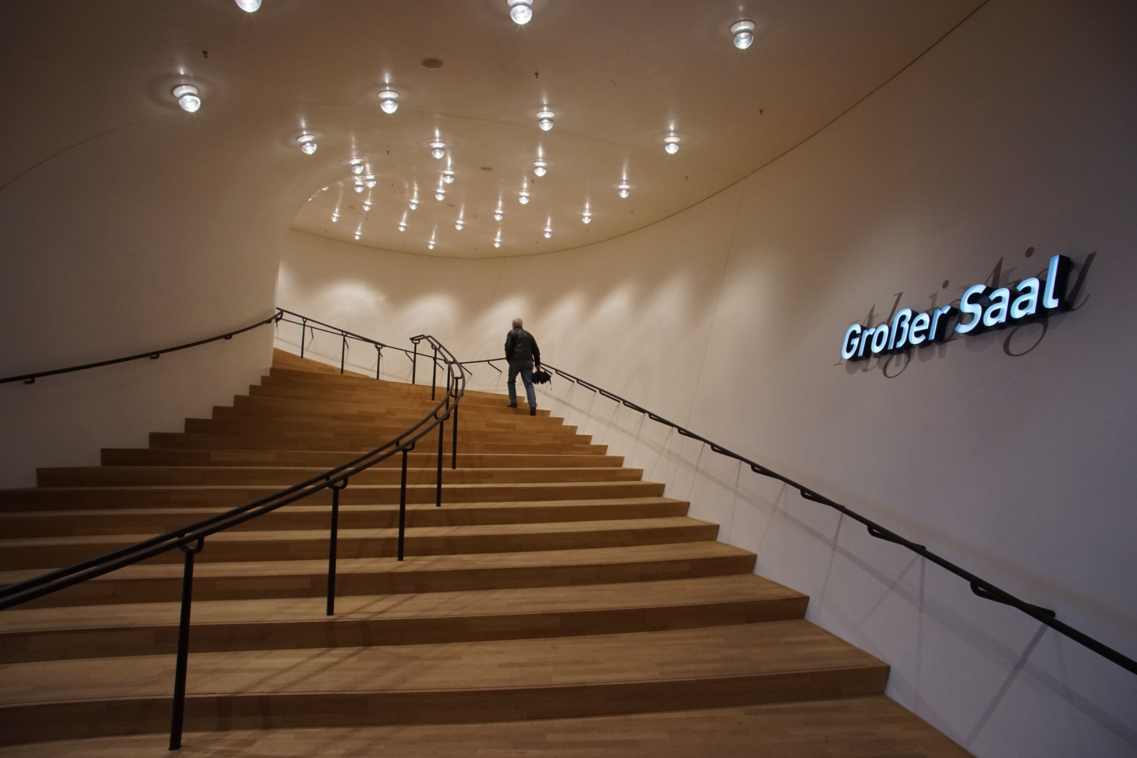 Elbphilharmonie - Großer Saal