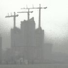 Elbphilharmonie Hamburg im Nebel