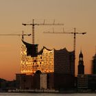 Elbphilharmonie im Abendlicht