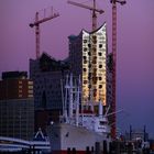 Elbphilharmonie im Abendrot