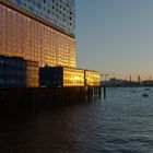 Elbphilharmonie im letzten Sonnenlicht 2