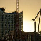 Elbphilharmonie im letzten Sonnenlicht