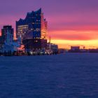 Elbphilharmonie im Morgenlicht